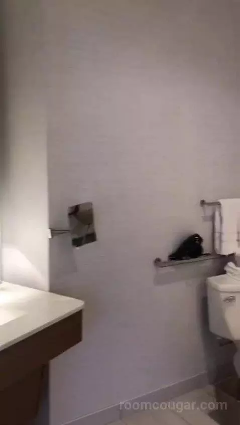 Executive Suite, One Bedroom Studio Suite, One King, City View, Accessible (#708) bathroom picture #4