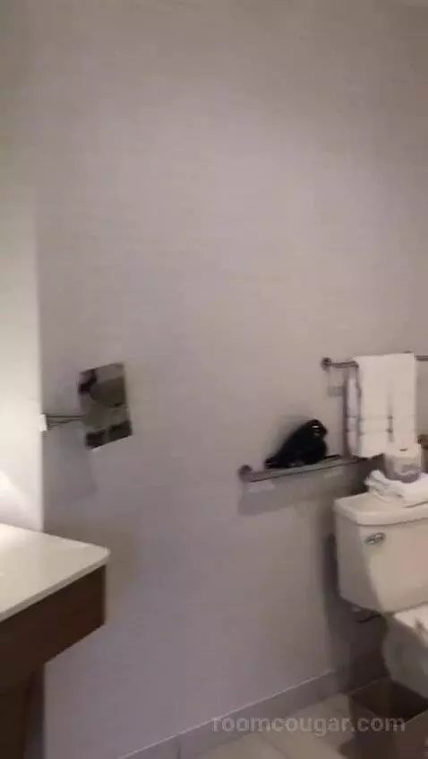 Executive Suite, One Bedroom Studio Suite, One King, City View, Accessible (#708) bathroom picture #5