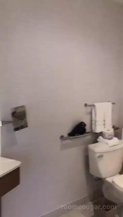 Executive Suite, One Bedroom Studio Suite, One King, City View, Accessible (#708) bathroom picture #6