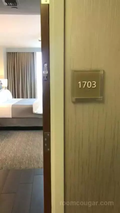 Deluxe Suite, Parlor, Alternate Bed: Sofa Bed, Marina View (#1703) bed picture #1