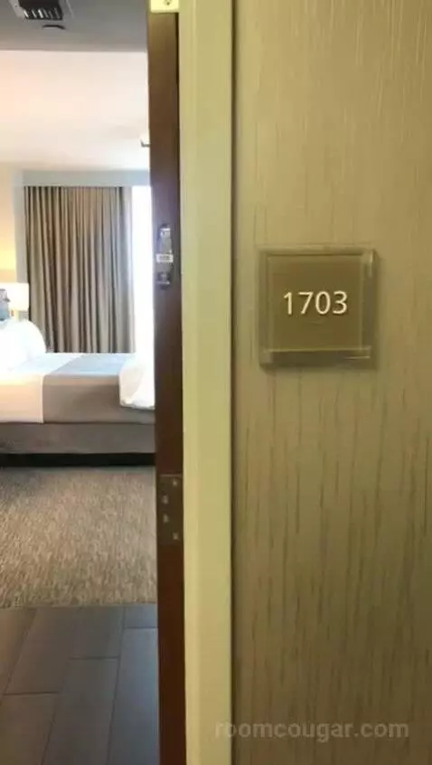 Deluxe Suite, Parlor, Alternate Bed: Sofa Bed, Marina View (#1703) bed picture #2