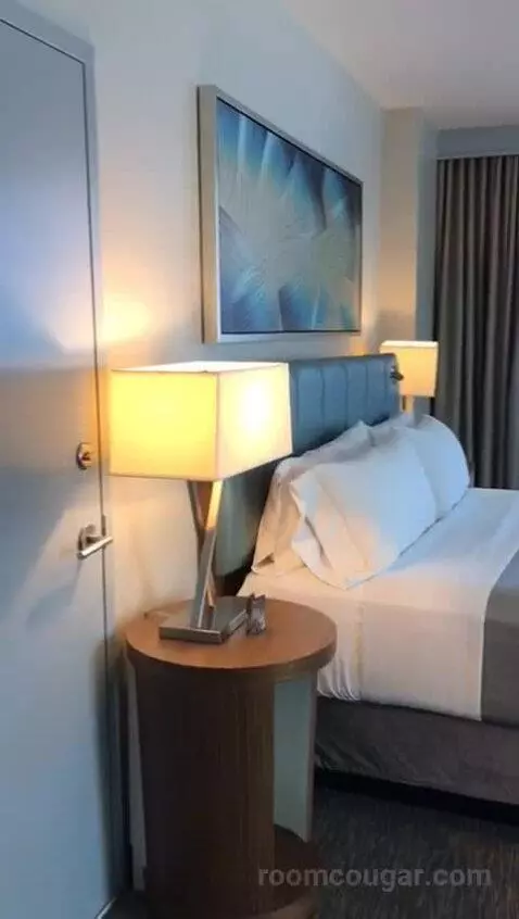 Deluxe Suite, Parlor, Alternate Bed: Sofa Bed, Marina View (#1703) bed picture #6