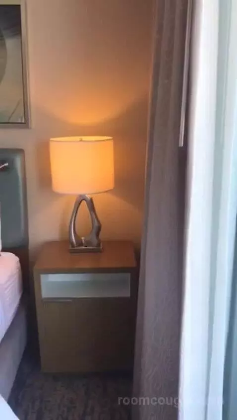 Standard King Room with City View (#1708) bed picture #9