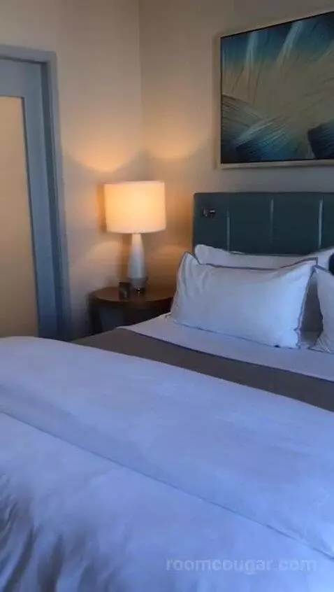 Standard King Room with City View (#1708) bed picture #12