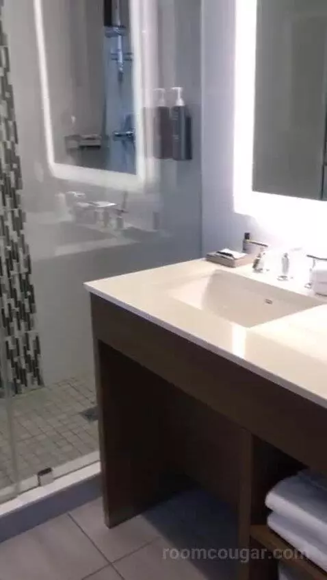 Standard King Room with City View (#1708) bathroom picture #7