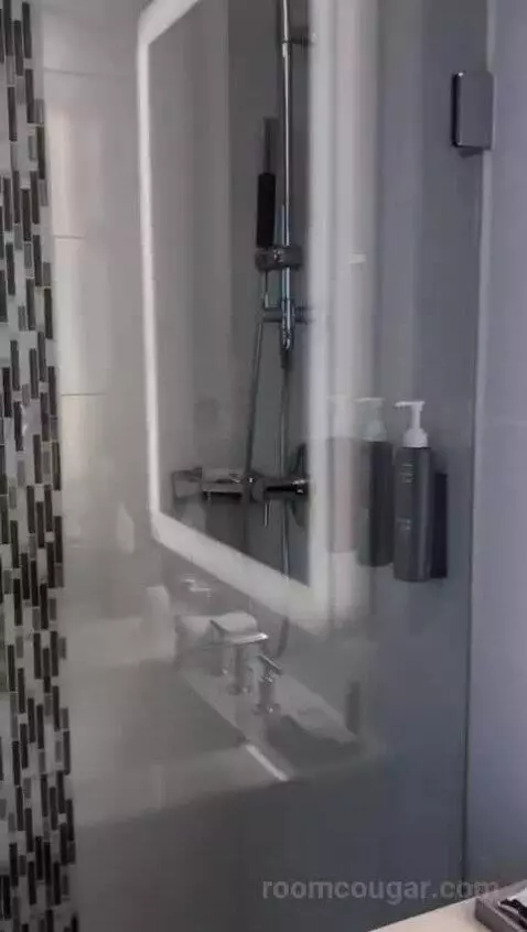Standard King Room with City View (#1708) bathroom picture #11