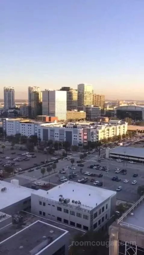 Two Queen Den Room (#1718) view picture #5