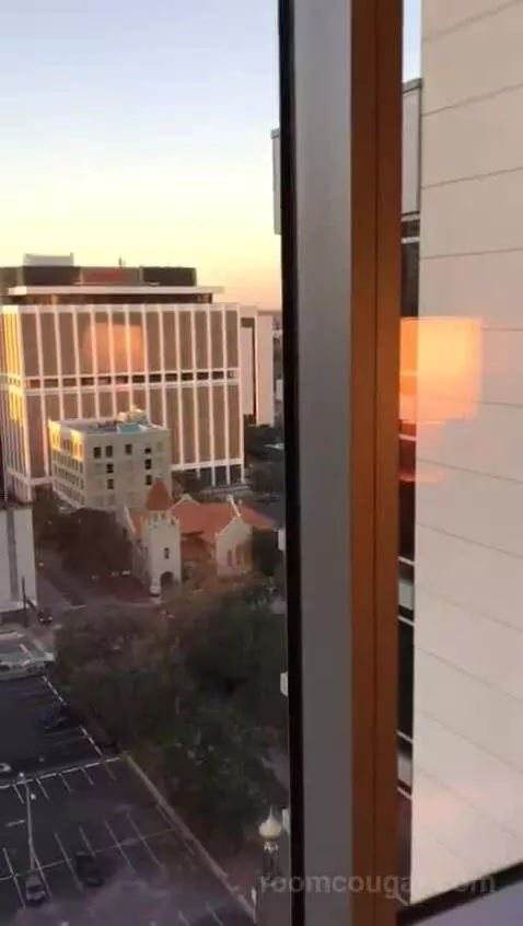 Accessible One Bedroom Kitchen Suite, One King Plus Sofa Bed (#1702) view picture #7