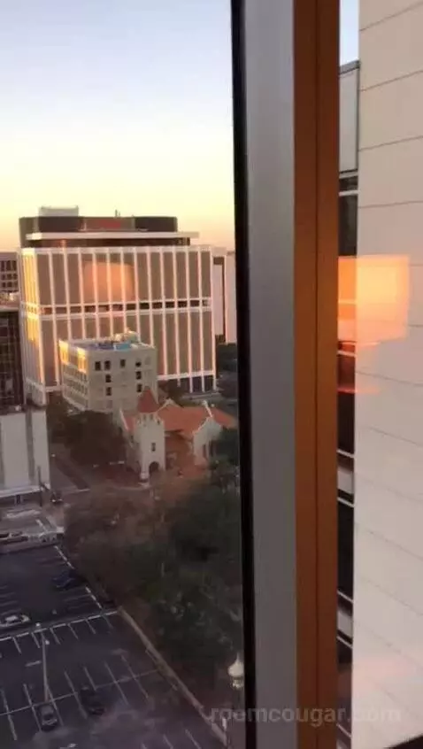 Accessible One Bedroom Kitchen Suite, One King Plus Sofa Bed (#1702) view picture #8