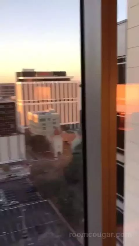 Accessible One Bedroom Kitchen Suite, One King Plus Sofa Bed (#1702) view picture #9