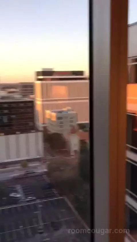 Accessible One Bedroom Kitchen Suite, One King Plus Sofa Bed (#1702) view picture #10