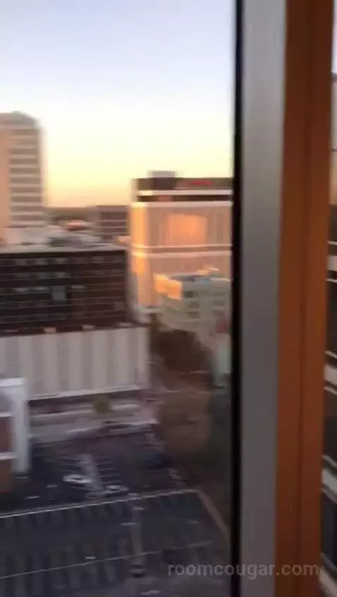 Accessible One Bedroom Kitchen Suite, One King Plus Sofa Bed (#1702) view picture #11