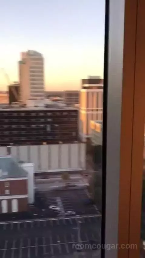 Accessible One Bedroom Kitchen Suite, One King Plus Sofa Bed (#1702) view picture #12