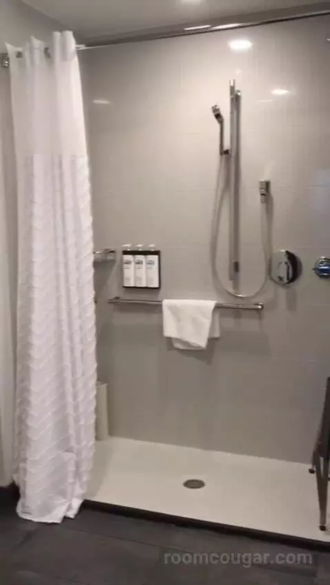 Accessible One Bedroom Kitchen Suite, One King Plus Sofa Bed (#1702) bathroom picture #4