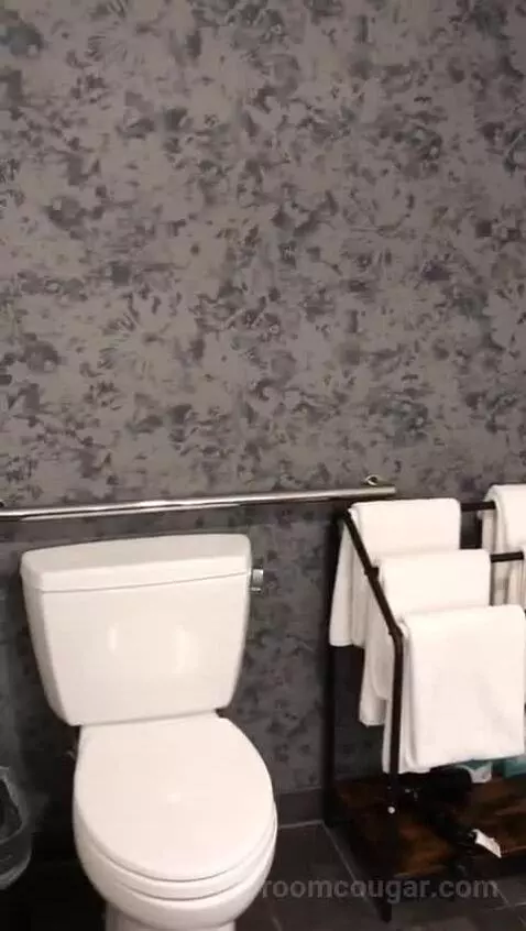 Accessible One Bedroom Kitchen Suite, One King Plus Sofa Bed (#1702) bathroom picture #5