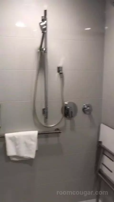Accessible One Bedroom Kitchen Suite, One King Plus Sofa Bed (#1702) bathroom picture #6