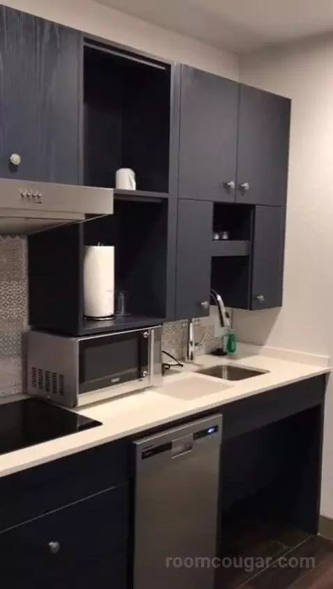 Accessible One Bedroom Kitchen Suite, One King Plus Sofa Bed (#1702) bathroom picture #1