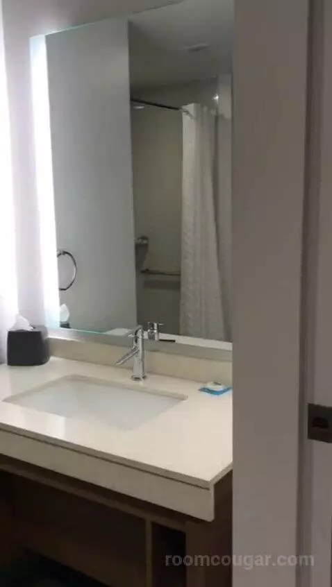 Accessible One Bedroom Kitchen Suite, One King Plus Sofa Bed (#1702) bathroom picture #9