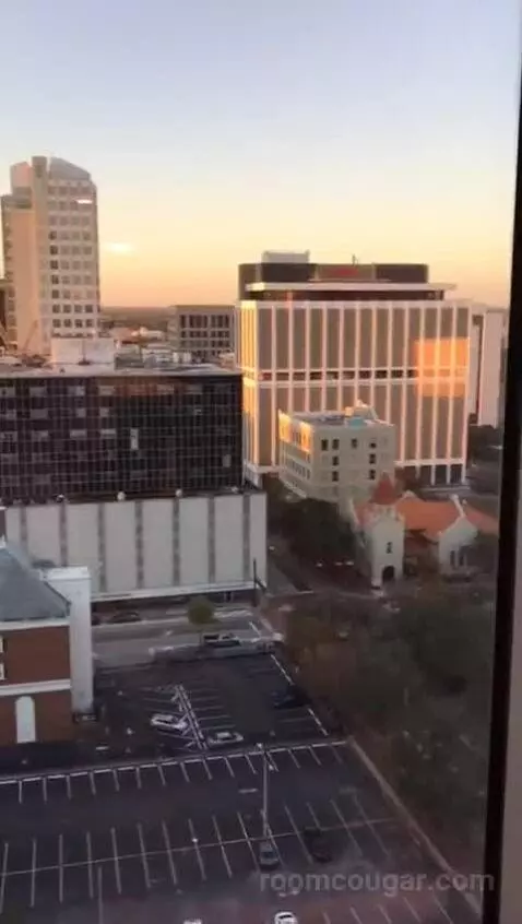 Accessible One Bedroom Kitchen Suite, One King Plus Sofa Bed (#1702) view picture #1