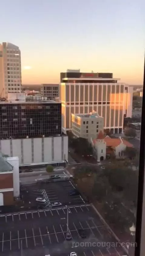 Accessible One Bedroom Kitchen Suite, One King Plus Sofa Bed (#1702) view picture #2