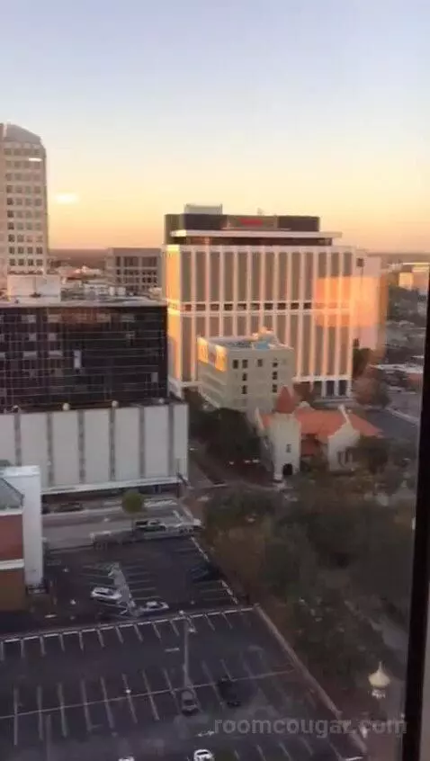 Accessible One Bedroom Kitchen Suite, One King Plus Sofa Bed (#1702) view picture #3