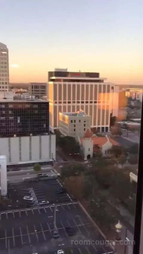 Accessible One Bedroom Kitchen Suite, One King Plus Sofa Bed (#1702) view picture #4