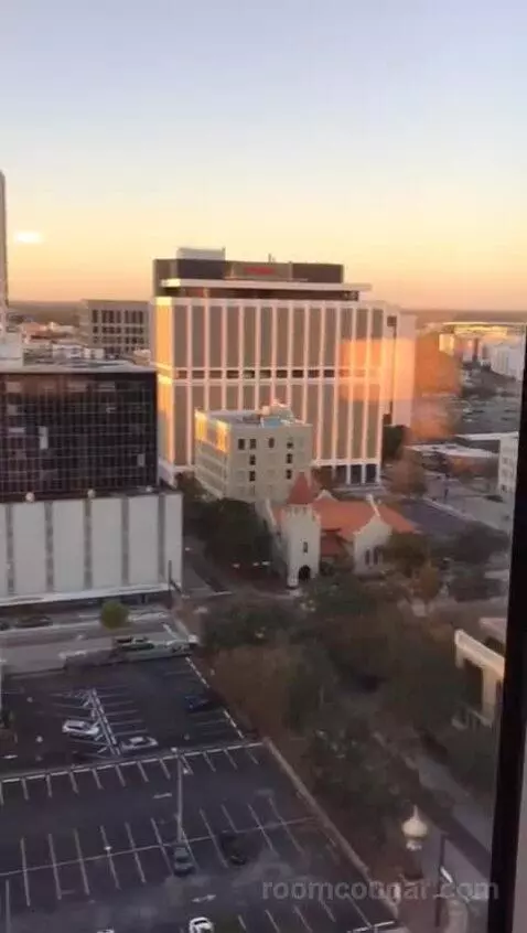 Accessible One Bedroom Kitchen Suite, One King Plus Sofa Bed (#1702) view picture #5