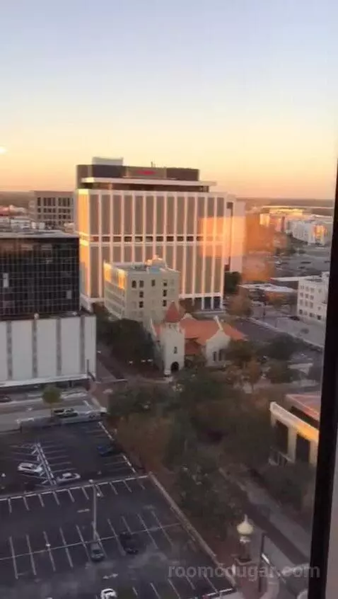 Accessible One Bedroom Kitchen Suite, One King Plus Sofa Bed (#1702) view picture #6