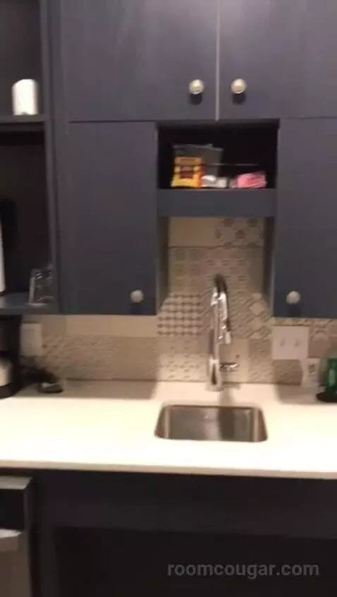 Studio Kitchen Suite Accessible (#604) bathroom picture #2