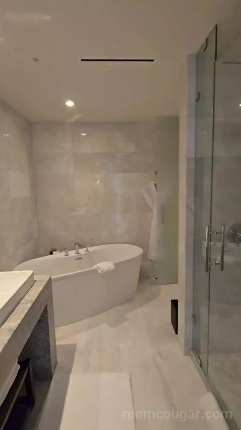 Magnolia King Suite with Sofa Bed, Balcony and Ocean View (#225) bathroom picture #1