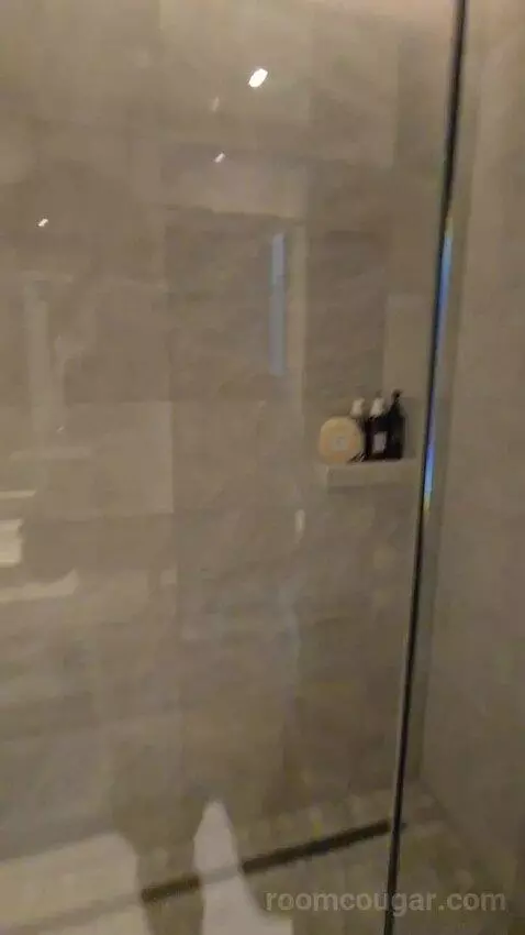 Magnolia King Suite with Sofa Bed, Balcony and Ocean View (#225) bathroom picture #6