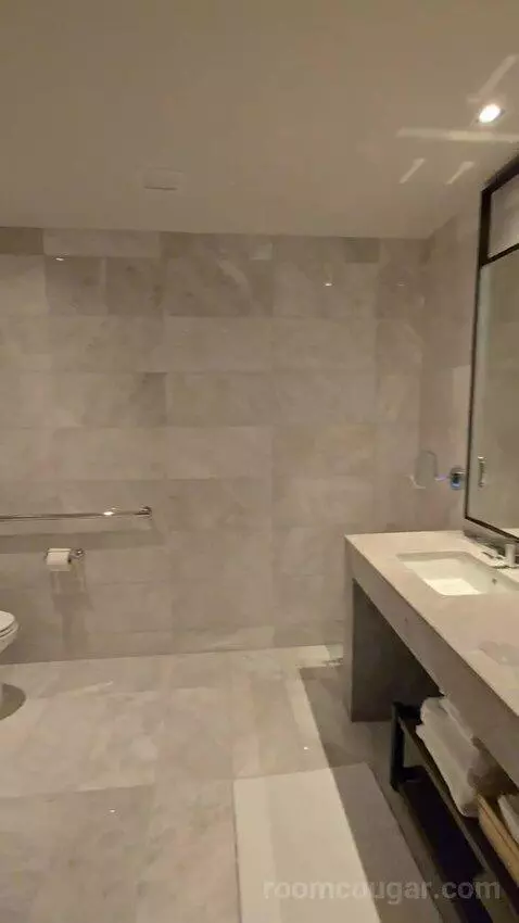 Superior King Room with Balcony and Limited View (#253) bathroom picture #1