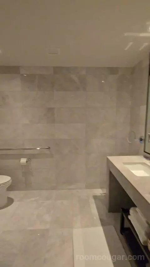Superior King Room with Balcony and Limited View (#253) bathroom picture #2