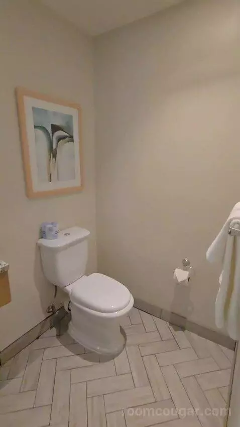 One-Bedroom King Suite with Sofa Bed - High Floor/City View (#625) bathroom picture #3