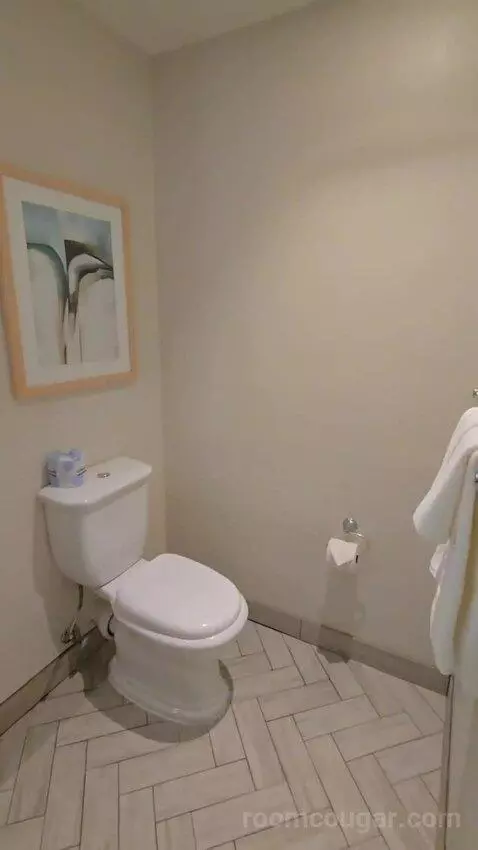 One-Bedroom King Suite with Sofa Bed - High Floor/City View (#625) bathroom picture #4