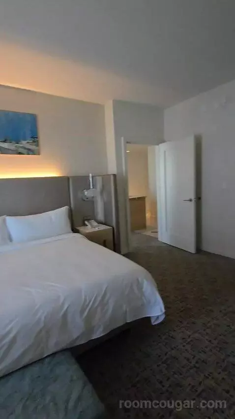 One-Bedroom King Suite with Sofa Bed - High Floor/City View (#625) bed picture #7