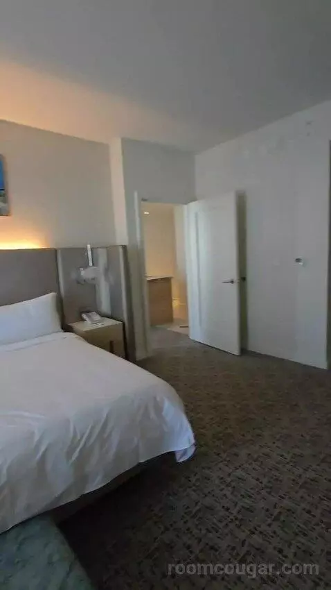 One-Bedroom King Suite with Sofa Bed - High Floor/City View (#625) bed picture #8