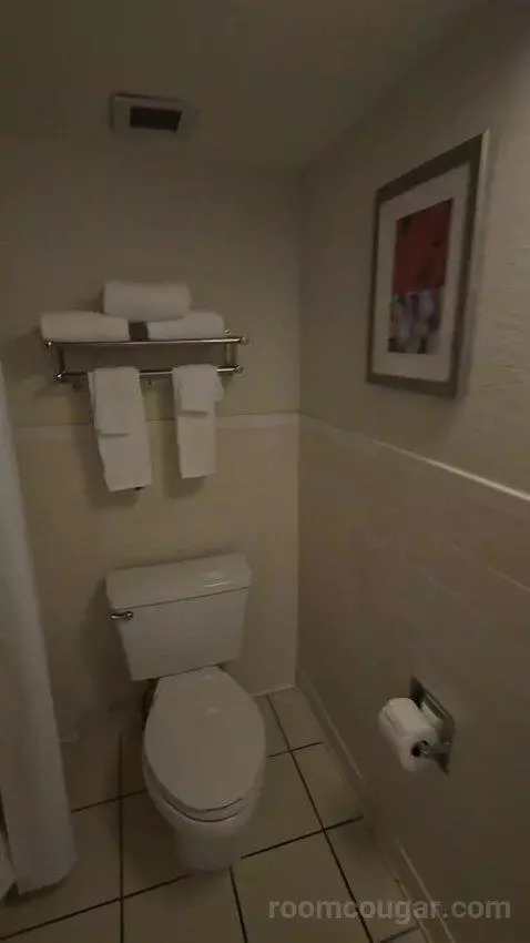 King Room with Water View (Connecting) (#209) bathroom picture #3