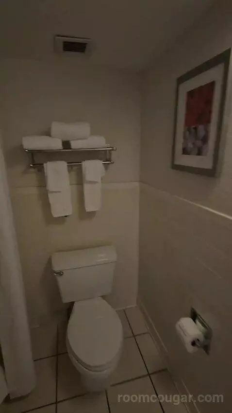 King Room with Water View (Connecting) (#209) bathroom picture #4