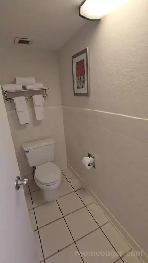 King Room with Water View (Connecting) (#209) picture #17