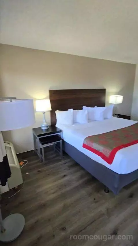 King Room with Water View (Connecting) (#209) picture #3