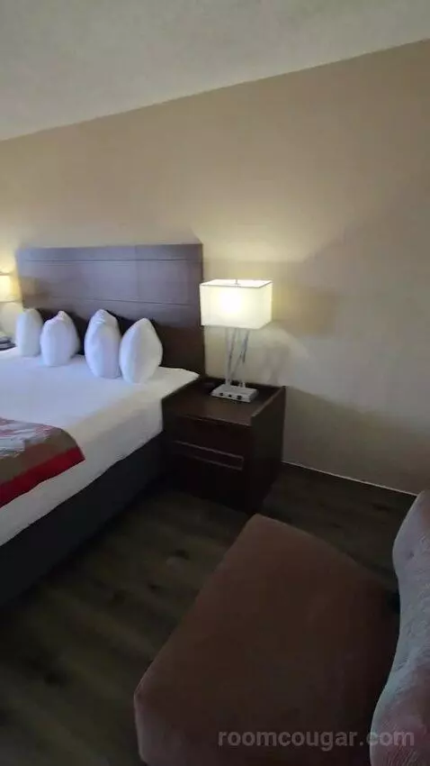King Room with Water View (Connecting) (#209) bed picture #2