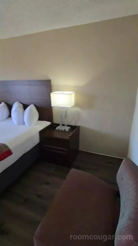 King Room with Water View (Connecting) (#209) bed picture #3