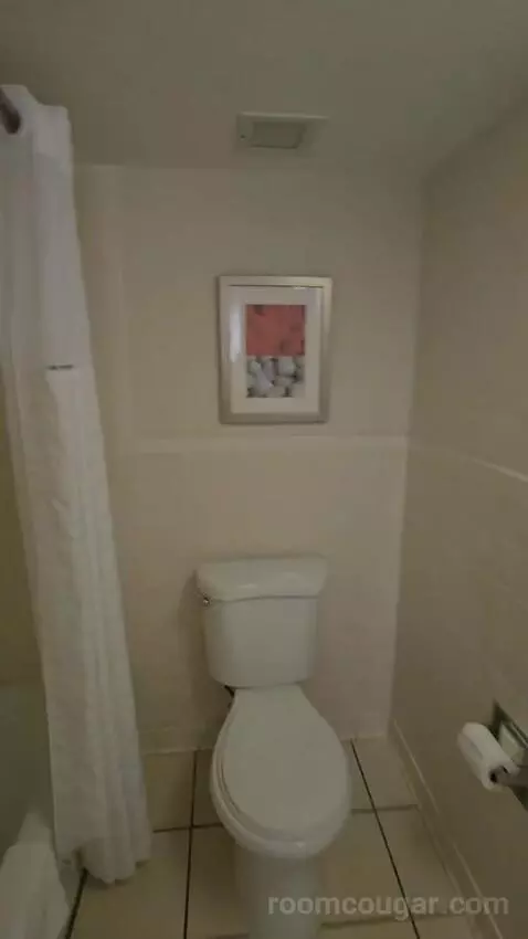 King Room with Water View (#213) bathroom picture #3