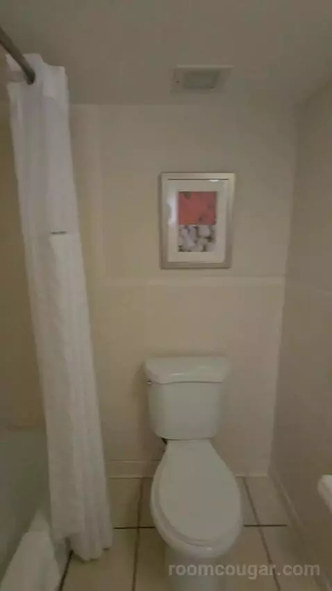 King Room with Water View (#213) bathroom picture #4