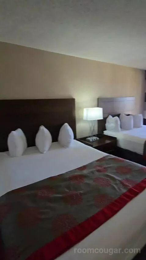 Queen Room with Two Queen Beds and Water View (#213) bed picture #5