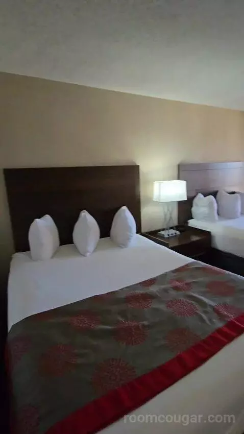 Queen Room with Two Queen Beds and Water View (#213) bed picture #6