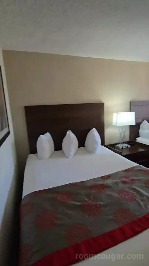Queen Room with Two Queen Beds and Water View (#213) bed picture #8