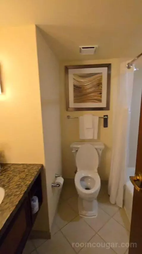 Two Queen Junior Suite, Sofa Bed, Balcony (#220) bathroom picture #10