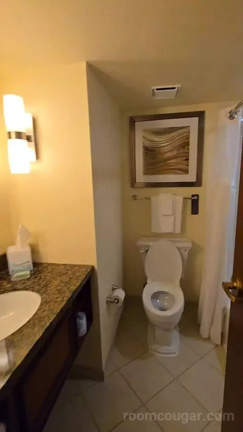 Two Queen Junior Suite, Sofa Bed, Balcony (#220) bathroom picture #12